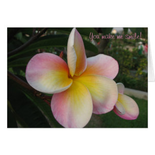 Je maakt me glimlachen!