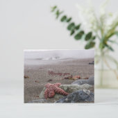 Je mist briefkaart (Staand voorkant)