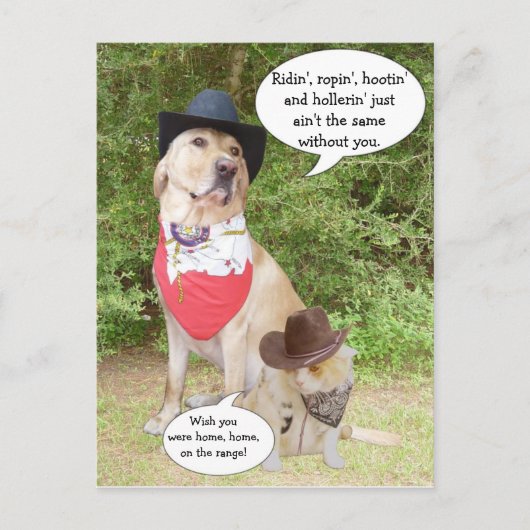 Je mist... briefkaart (Voorkant)