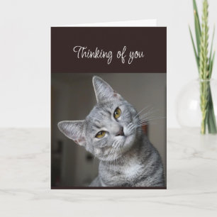 Je mist Denkend aan jou Nieuwsgierige kat Kaart