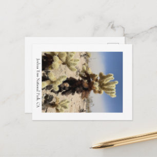 Je mist - Joshua Tree National Park, CA Briefkaart