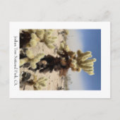 Je mist - Joshua Tree National Park, CA Briefkaart (Voorkant)