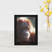 Je mist... kaart (Gele Bloem)