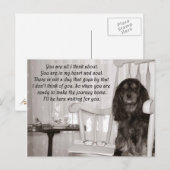 Je mist mij: een Cavalier King Charles Spaniel kaa Briefkaart (Voorkant / Achterkant)