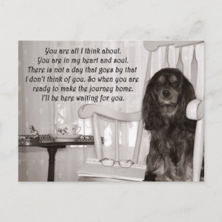 Je mist mij: een Cavalier King Charles Spaniel kaa Briefkaart