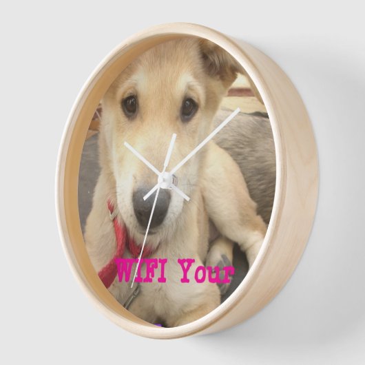 Je moet elke dag je liefde wekken (Hoek)