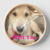 Je moet elke dag je liefde wekken (Voorkant)