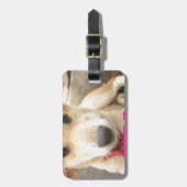 Je moet elke dag je liefde wekken bagagelabel (Voorkant verticaal)