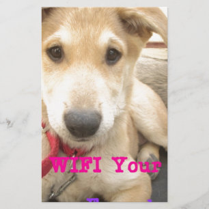 Je moet elke dag je liefde wekken briefpapier