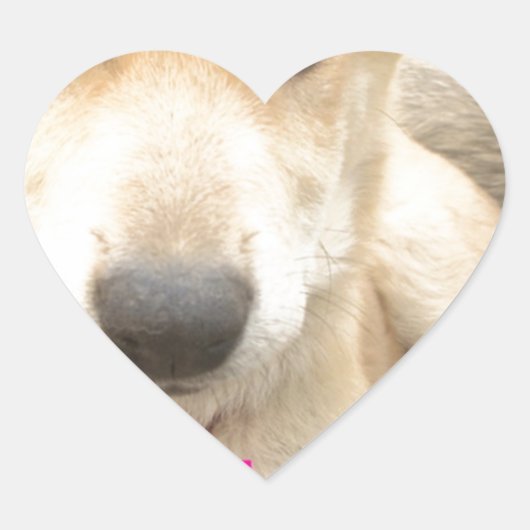 Je moet elke dag je liefde wekken hart sticker (Voorkant)