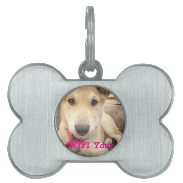 Je moet elke dag je liefde wekken huisdieren naamplaatje (voorkant)