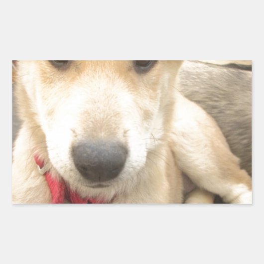 Je moet elke dag je liefde wekken rechthoekige sticker (Voorkant)