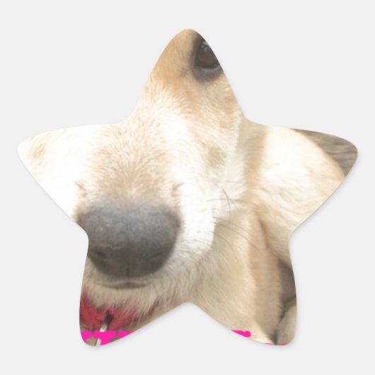 Je moet elke dag je liefde wekken ster sticker (Voorkant)