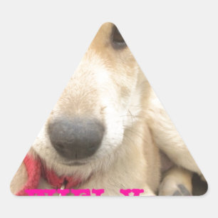 Je moet elke dag je liefde wekken sticker