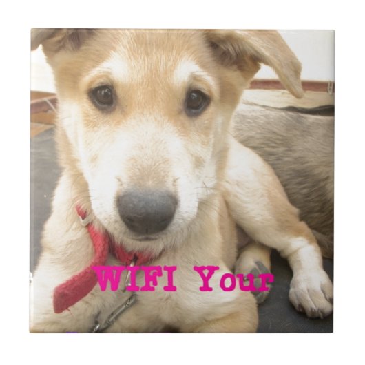 Je moet elke dag je liefde wekken tegeltje (Voorkant)