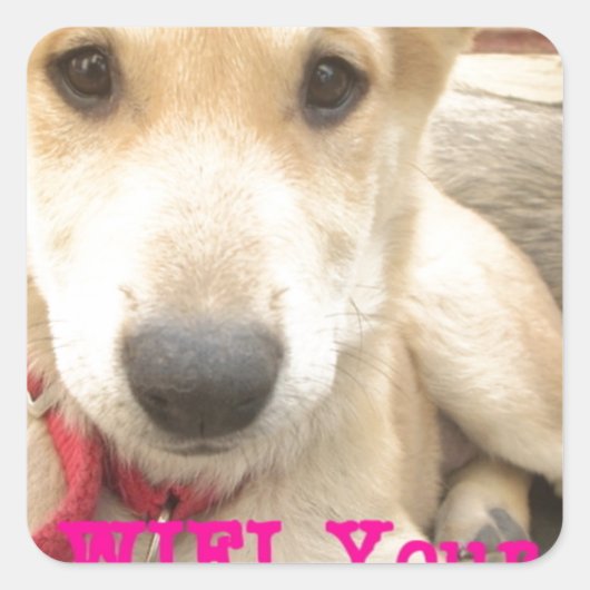 Je moet elke dag je liefde wekken vierkante sticker (Voorkant)