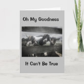 JE MOET 'KIDDING' ZIJN, JE KUNT NIET '16'-KAART ZI KAART (Voorkant)