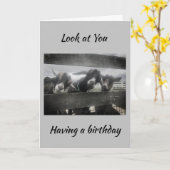 JE MOET 'KIDDING' ZIJN, JE KUNT NIET '21' ZIJN. KAART (Gele Bloem)