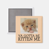 Je moet Kitten zijn, Funny Cat Magnets. Magneet (Voorkant / Achterkant)