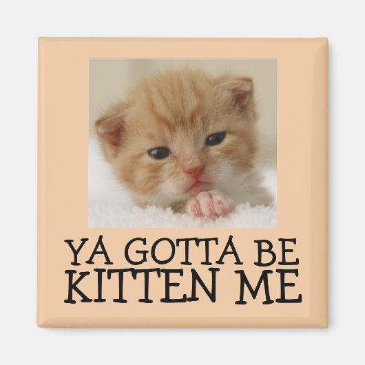 Je moet Kitten zijn, Funny Cat Magnets. Magneet (Voorkant)