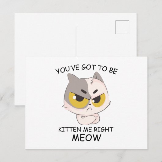 Je moet me nu kitten briefkaart (Voorkant / Achterkant)