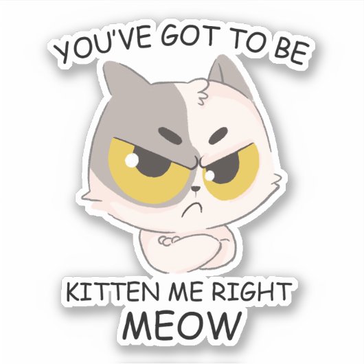 Je moet me nu kitten sticker (Voorkant)