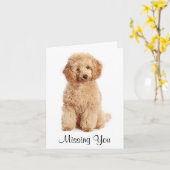 Je ongekende paardenbetaalkaart ontbreekt kaart (Gele Bloem)