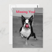 Je ontbreekt briefkaart (Voorkant / Achterkant)