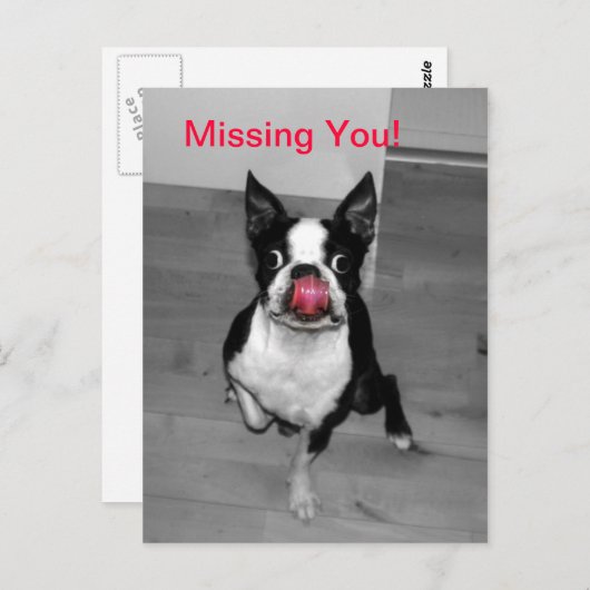 Je ontbreekt briefkaart (Voorkant / Achterkant)