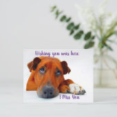 Je ontbreekt briefkaart (Staand voorkant)