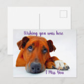 Je ontbreekt briefkaart (Voorkant / Achterkant)