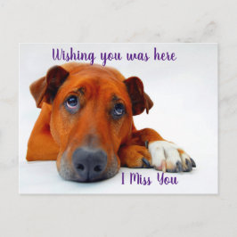 Je ontbreekt briefkaart