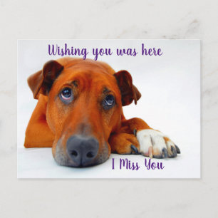 Je ontbreekt briefkaart