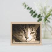 Je ontbreekt briefkaart (Staand voorkant)