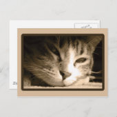 Je ontbreekt briefkaart (Voorkant / Achterkant)