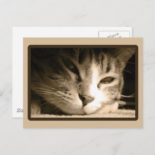 Je ontbreekt briefkaart (Voorkant / Achterkant)