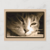 Je ontbreekt briefkaart (Voorkant)