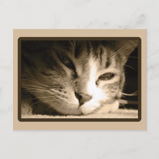 Je ontbreekt briefkaart (Voorkant)