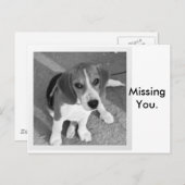 Je ontbreekt briefkaart (Voorkant / Achterkant)