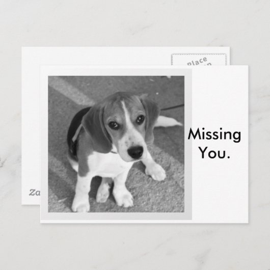 Je ontbreekt briefkaart (Voorkant / Achterkant)