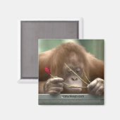 Je ontbreekt magneet (Voorkant / Achterkant)