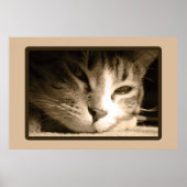 Je ontbreekt poster (Voorkant)