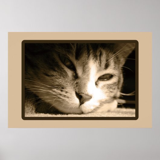 Je ontbreekt poster (Voorkant)