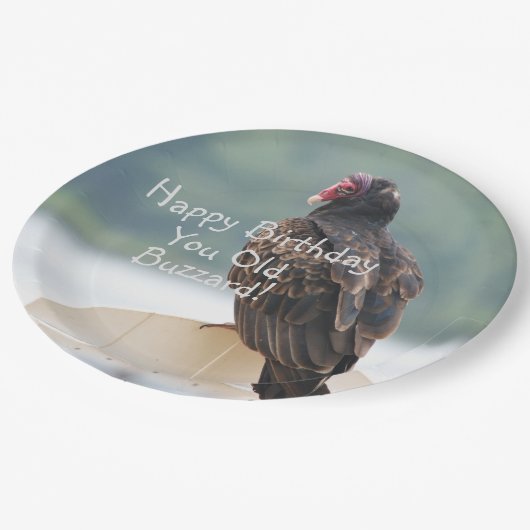 Je oude buzzard Birthday Papieren Bordje (Gekanteld)