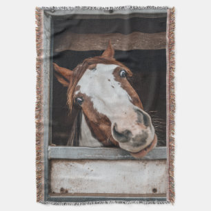 Je Paarden Foto Pony Aangepast Equestrisch Cadeau Deken