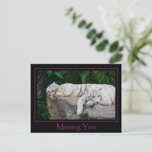 Je postkaart ontbreekt (Staand voorkant)