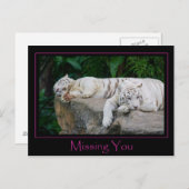 Je postkaart ontbreekt (Voorkant / Achterkant)