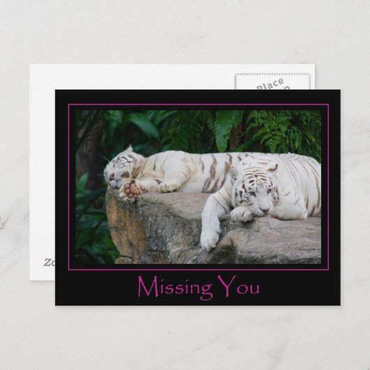 Je postkaart ontbreekt (Voorkant / Achterkant)