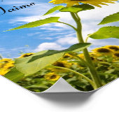 Je Regrette, pardon, Moi, je Taime Poster (Hoek)