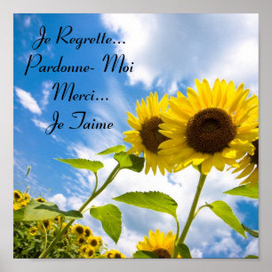 Je Regrette, pardon, Moi, je Taime Poster